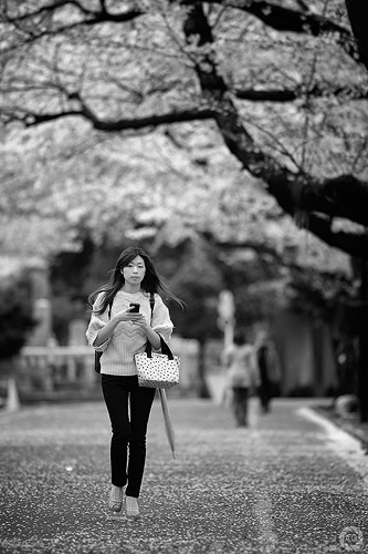 Blossoms in monochrome, Yanaka