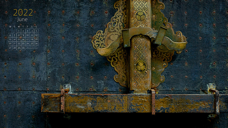 Detail of a door at Toshogu Shrine in Nikko, Japan 